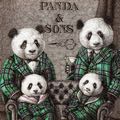 Panda & Sons logo