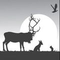 Woodland Creatures logo