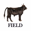 Field logo